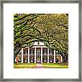 Southern Class Framed Print