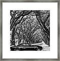 Southern Muscle Framed Print