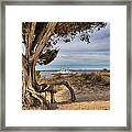 Southport Ferry Framed Print