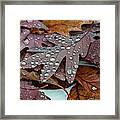 Sparkling Oak Leaves Framed Print