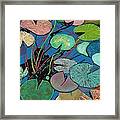 Sparkling Pond Framed Print