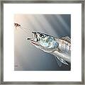 Speck Snack Framed Print