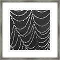 Spider Web Framed Print