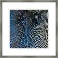Spider's Net Framed Print