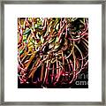 Spiky Flower Framed Print