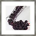 Spilt Blackberries Framed Print
