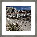 Spiny Framed Print