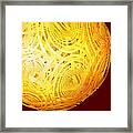 Spiral Sun By Jammer Framed Print