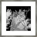 Spirit Flute Framed Print