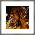 Spirit Horse Framed Print