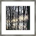 Spirits In The Woods Framed Print