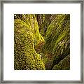 Split Rock Framed Print