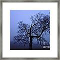 Spooky Tree Framed Print