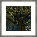 Spotted Tree Framed Print