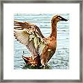 Spread Your Wings Framed Print