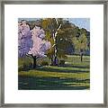 Spring Blossoms Framed Print