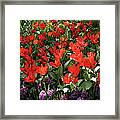 Spring Colors Framed Print