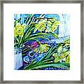 Spring Daffodils Framed Print
