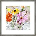 Spring Delights Framed Print