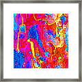 Spring Eucalypt Abstract 14 Framed Print