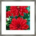 Spring Flowers 5 Framed Print