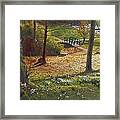 Spring Glow At  Kailzie Gardens Peebles Framed Print