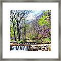 Spring In Dogwood Canyon Framed Print