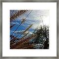 Spring In The Air Framed Print