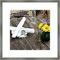 Spring Lunch Date Framed Print