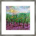 Spring Rain Framed Print