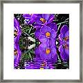 Spring Reflection Framed Print