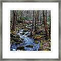 Spring Smoky Mountain Stream Framed Print