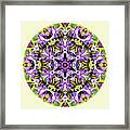 Spring Splendor Mandala Framed Print