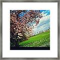 Spring Through The Car Window #amherst Framed Print