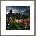 Spring Time At Mt. Rainier Washington Framed Print