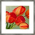 Spring Tulips Framed Print