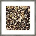 Spring Water Abstract Framed Print