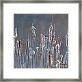 Spring Whisper... Framed Print