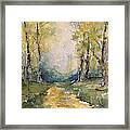 Springtime On The Country Road Framed Print