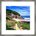 Springtime Trail Framed Print