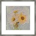 Sprinkled Daisies Framed Print