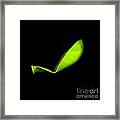 Square Lime Green Balloon Framed Print