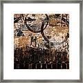 Square Rings Framed Print