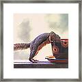 Squirrel And Coffee Framed Print