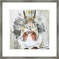 Squirrel. Watercolor Framed Print