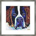 St. Bernard--sir Gossamer Framed Print