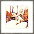 Stags // Strong Framed Print