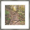 Stairs Into The Forest Framed Print