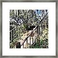 Stairs That Go Nowhere Framed Print