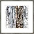 Staples In A Telephone Pole Framed Print